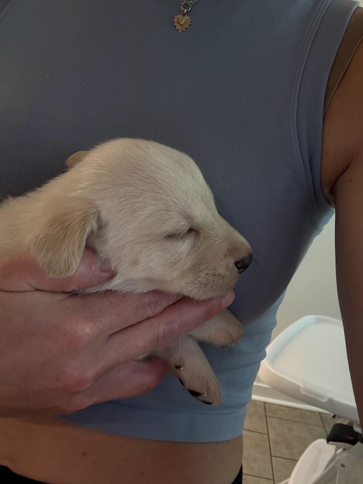 Greta's Babies thumbnail 5