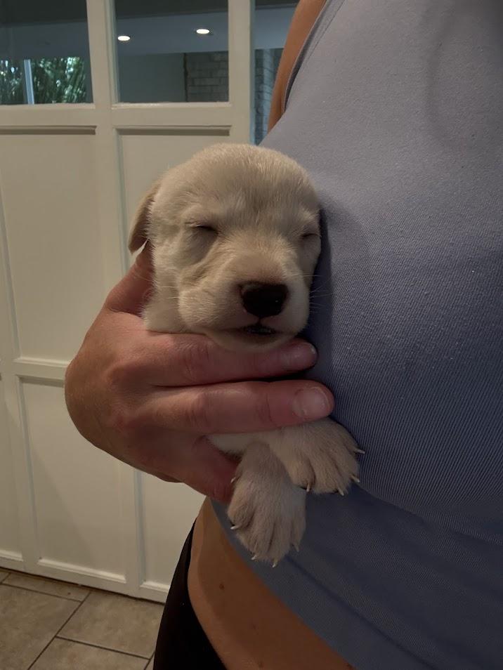 Greta's Babies thumbnail 6