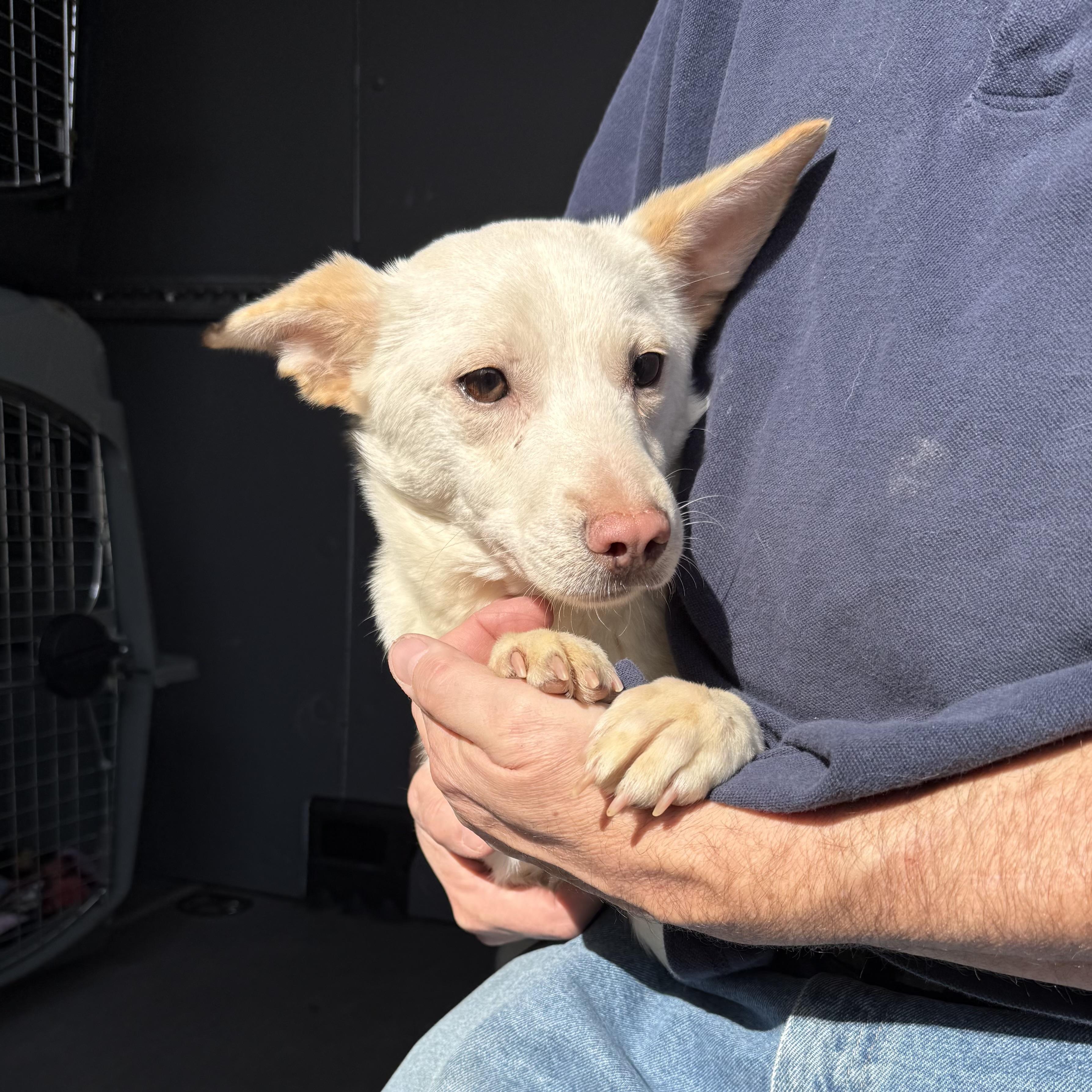 Oikos — thumbnail 2