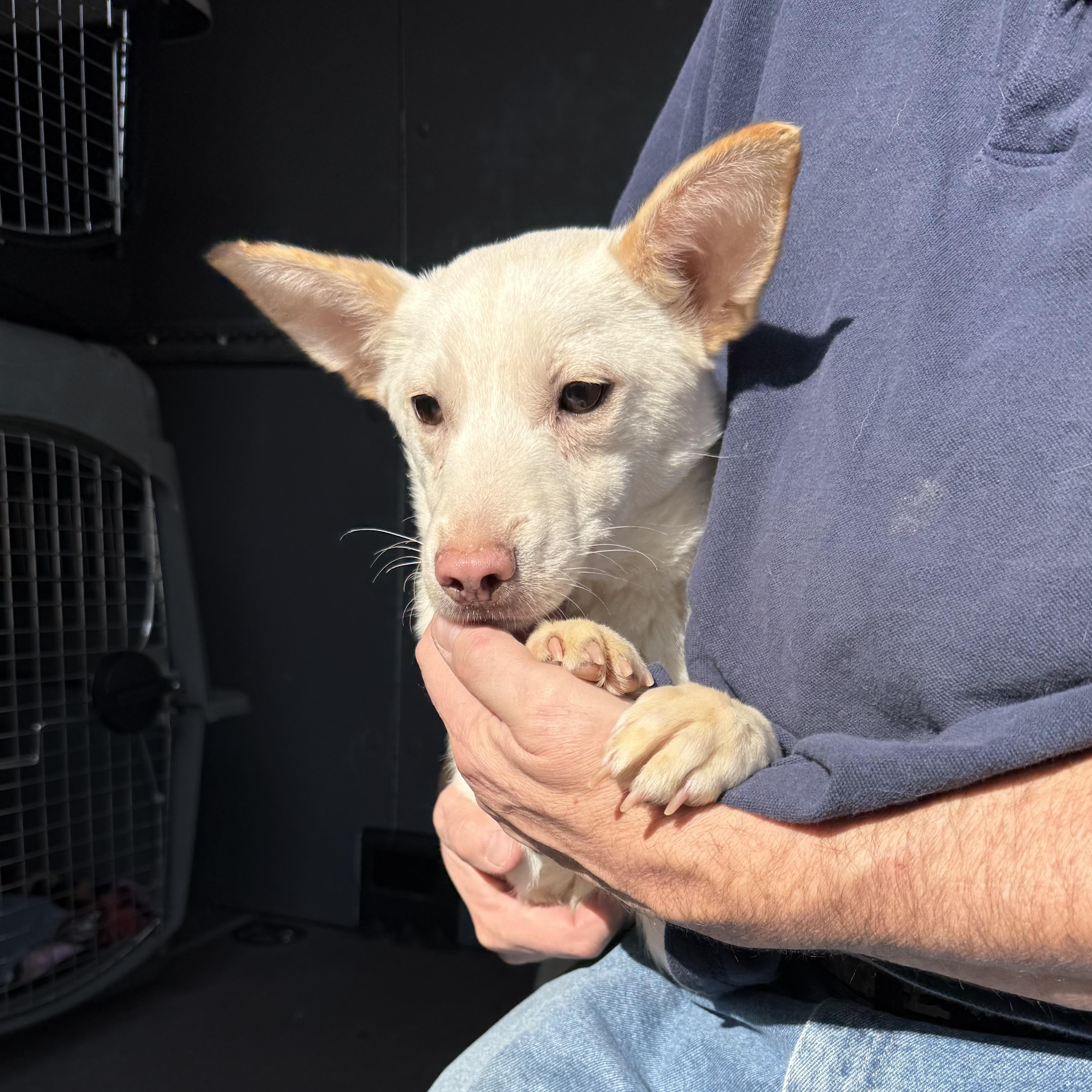 Oikos — thumbnail 3