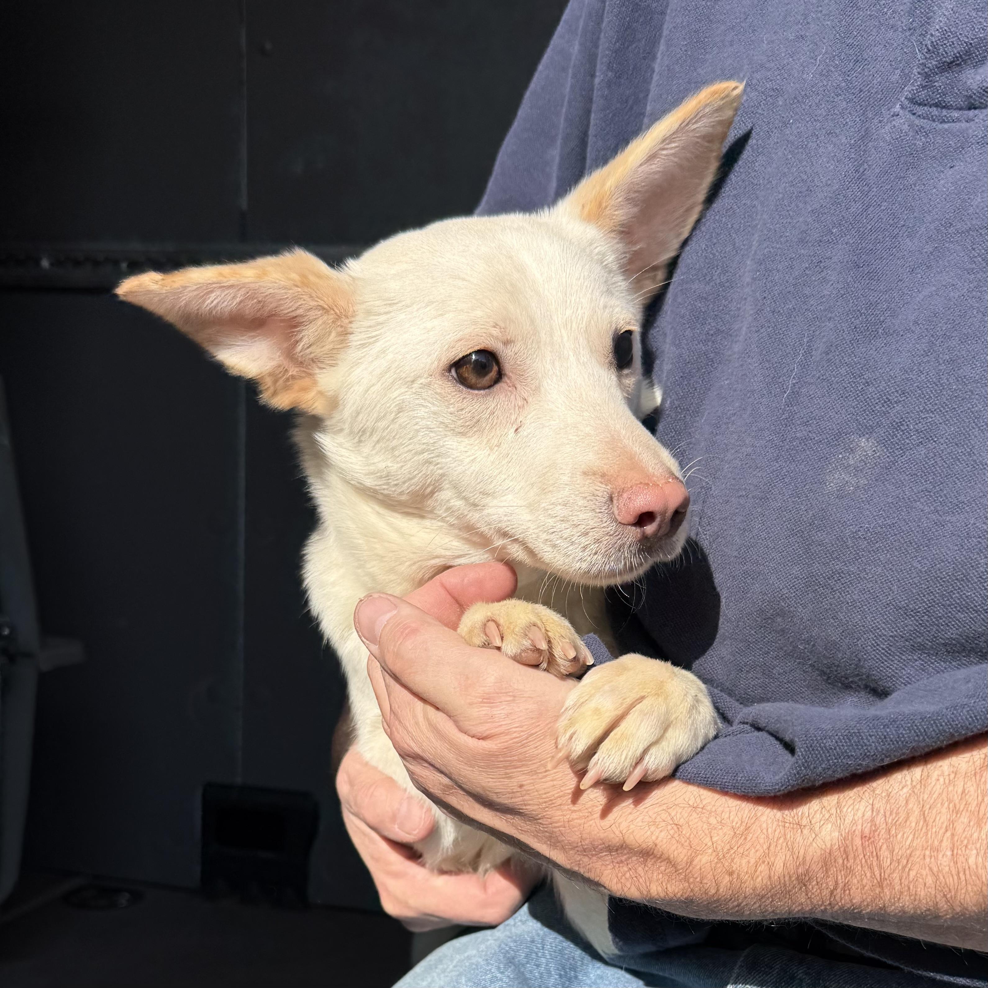 Oikos — thumbnail 4