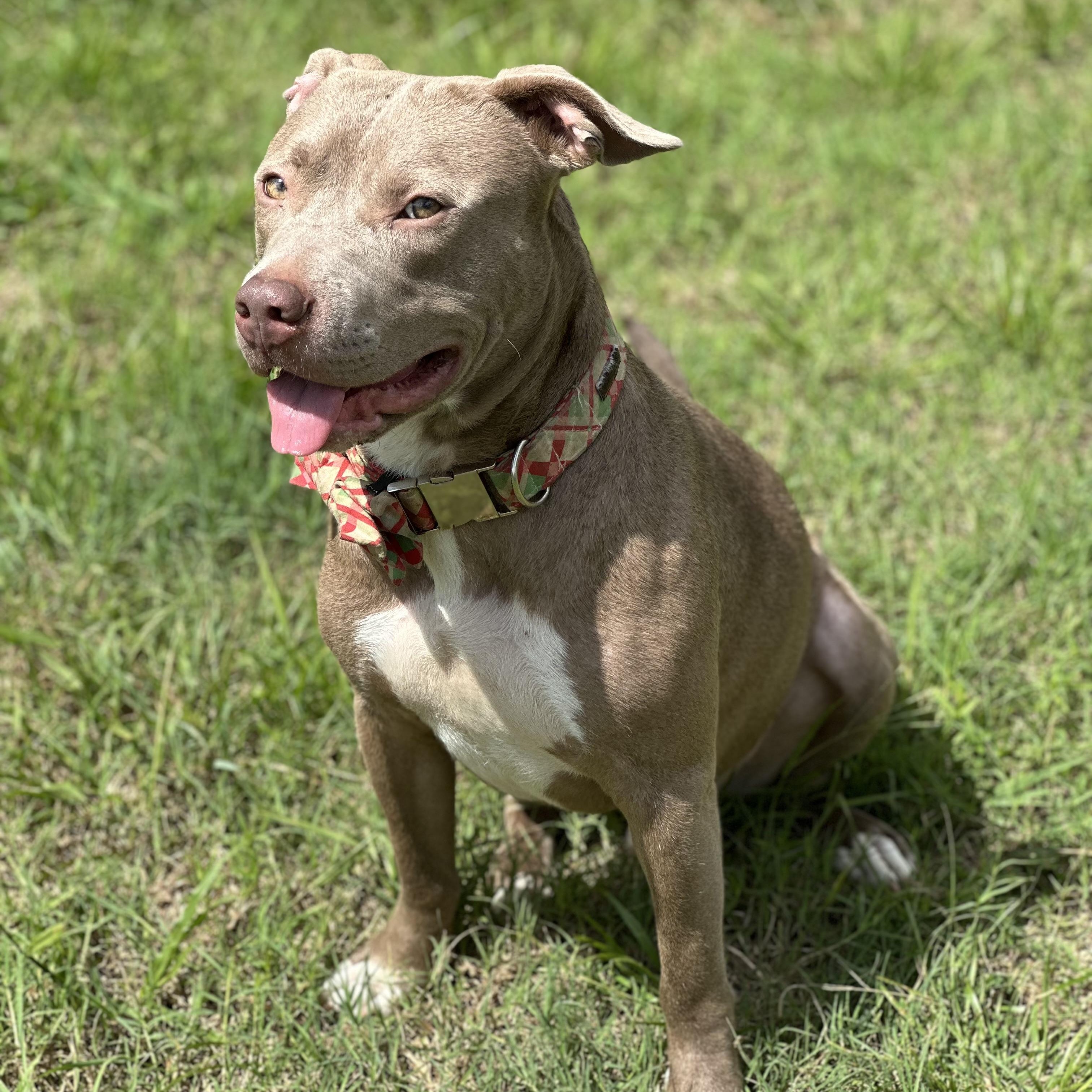 Connor — thumbnail 2