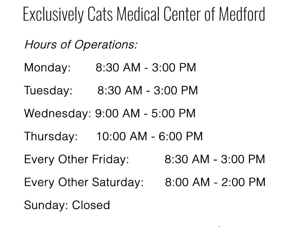 Enlarge Kosher, a Adoptable mixed breed in Woodbury, NJ image 6/6