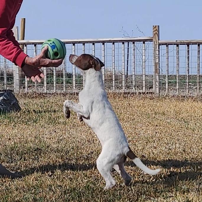 Paris — thumbnail 3