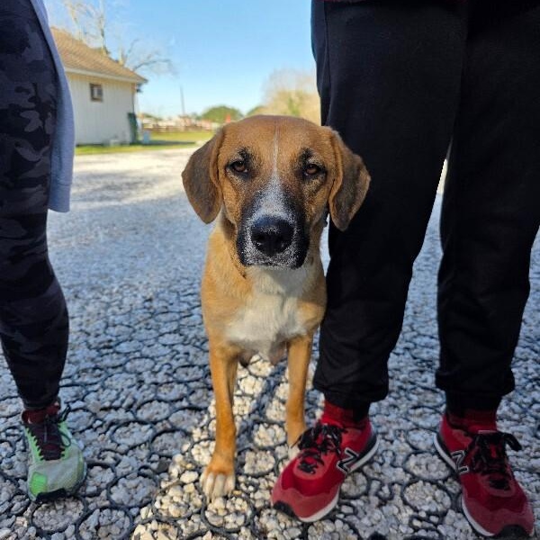 Winnie B. Warm Welcome