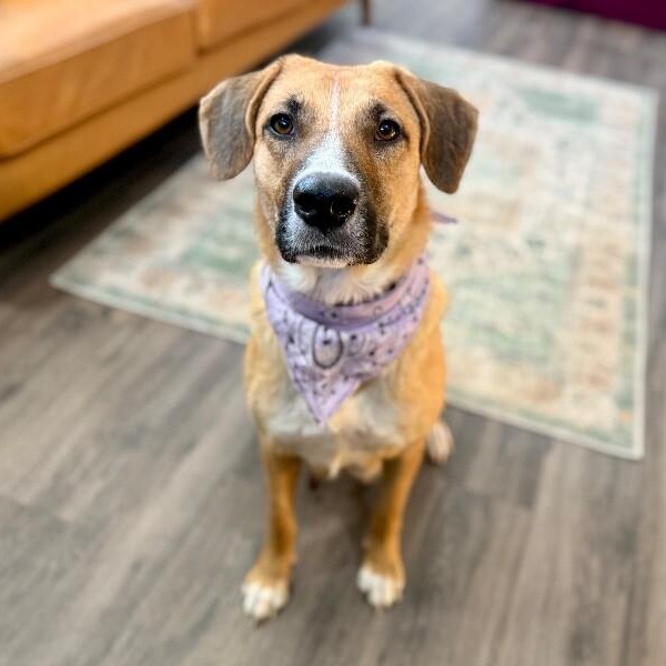 Winnie B. Warm Welcome — thumbnail 2