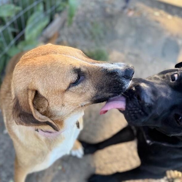 Winnie B. Warm Welcome — thumbnail 3