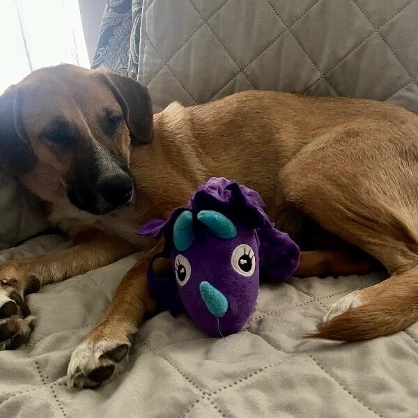 Winnie B. Warm Welcome — thumbnail 4