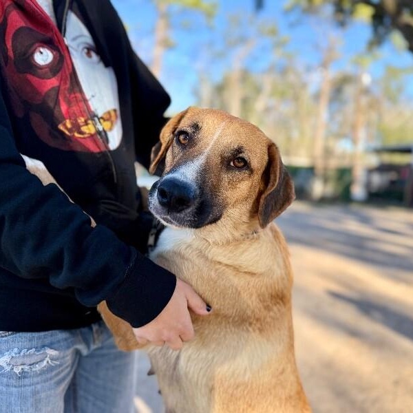 Winnie B. Warm Welcome — thumbnail 5