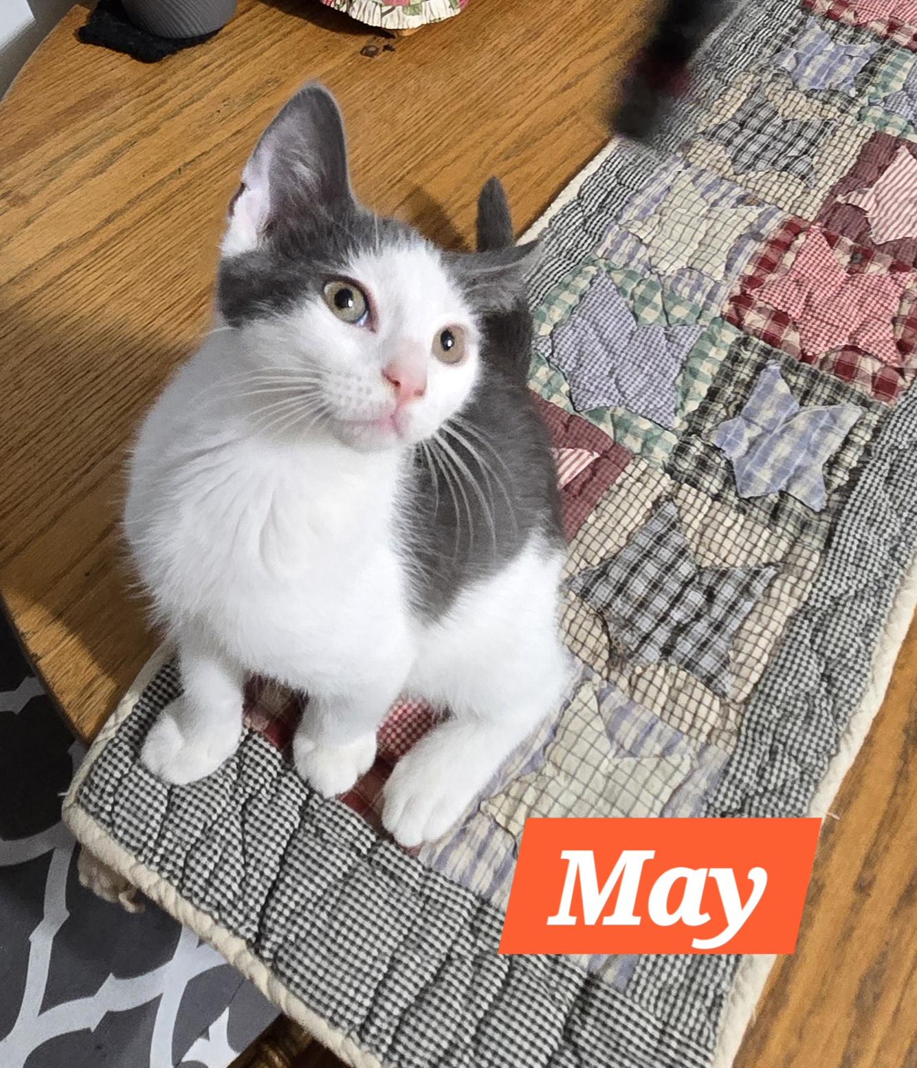 May (In Foster)
