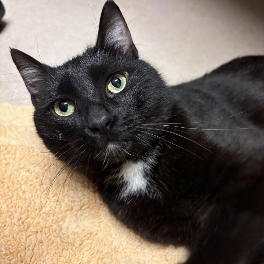 Hiccup — thumbnail 3