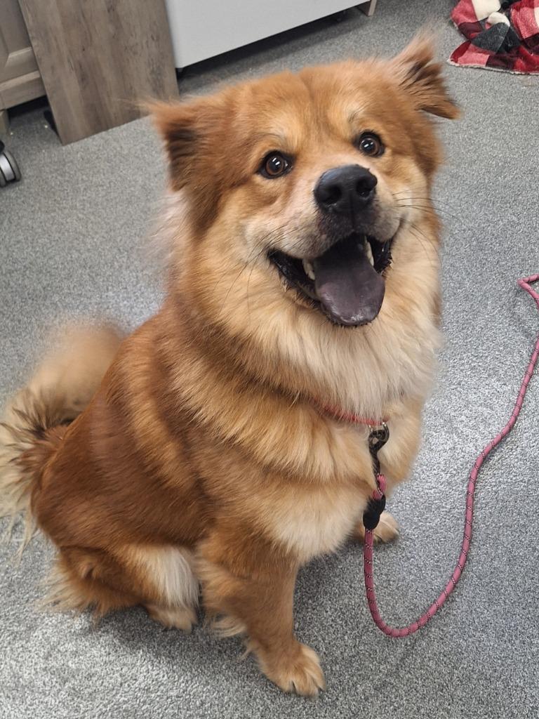 Cash — thumbnail 2