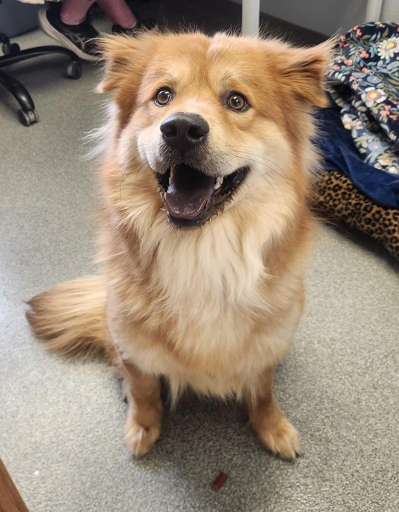 Cash — thumbnail 4