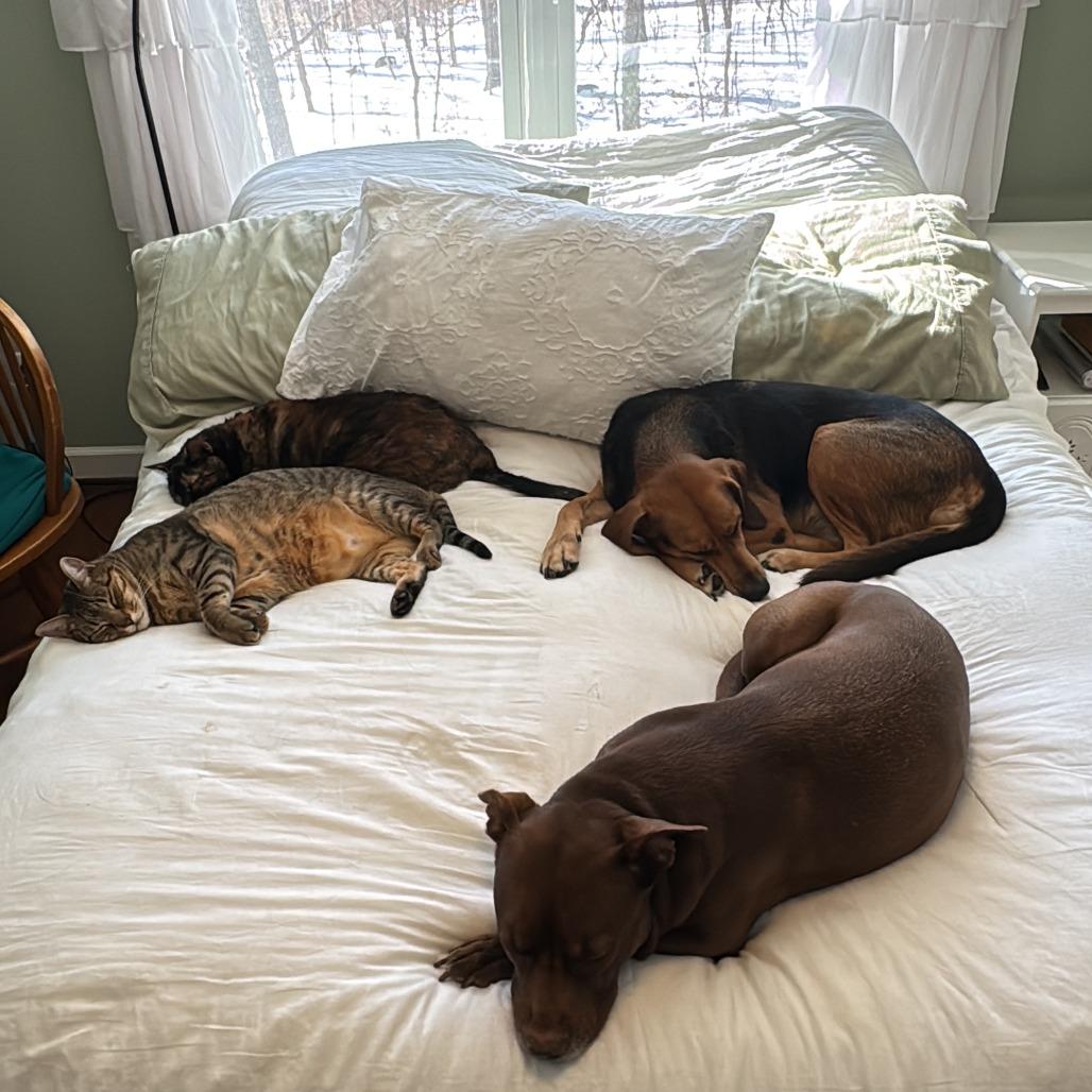 Frank — thumbnail 2