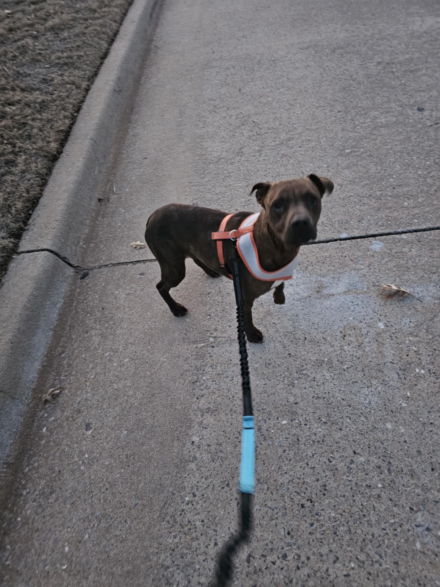 Mabel photo 4