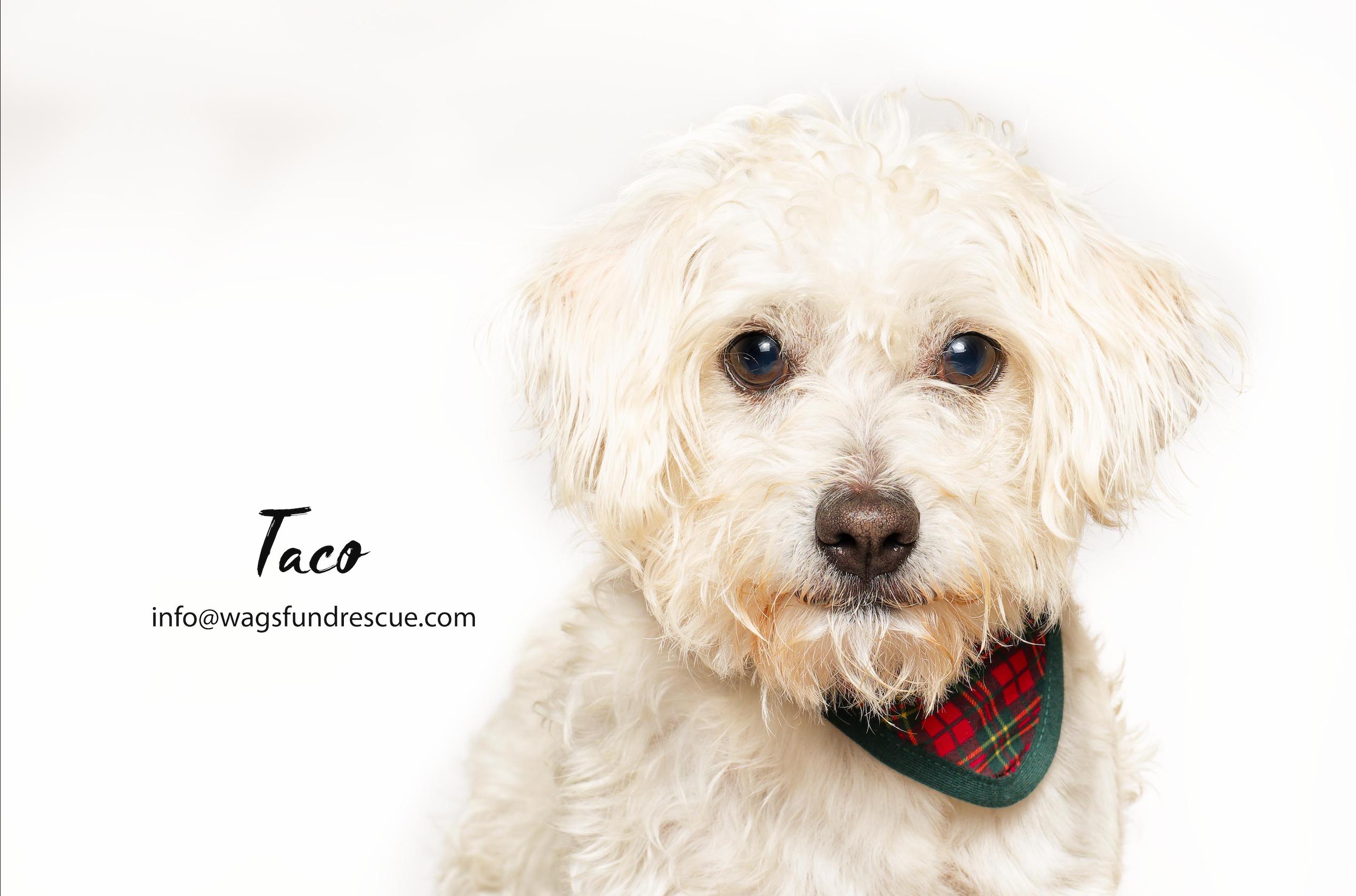 Taco