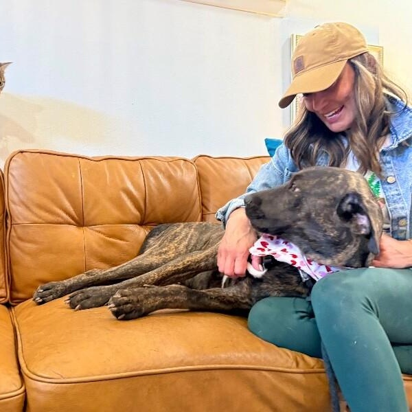 Odie Soft Hearted Gentle Giant — thumbnail 4