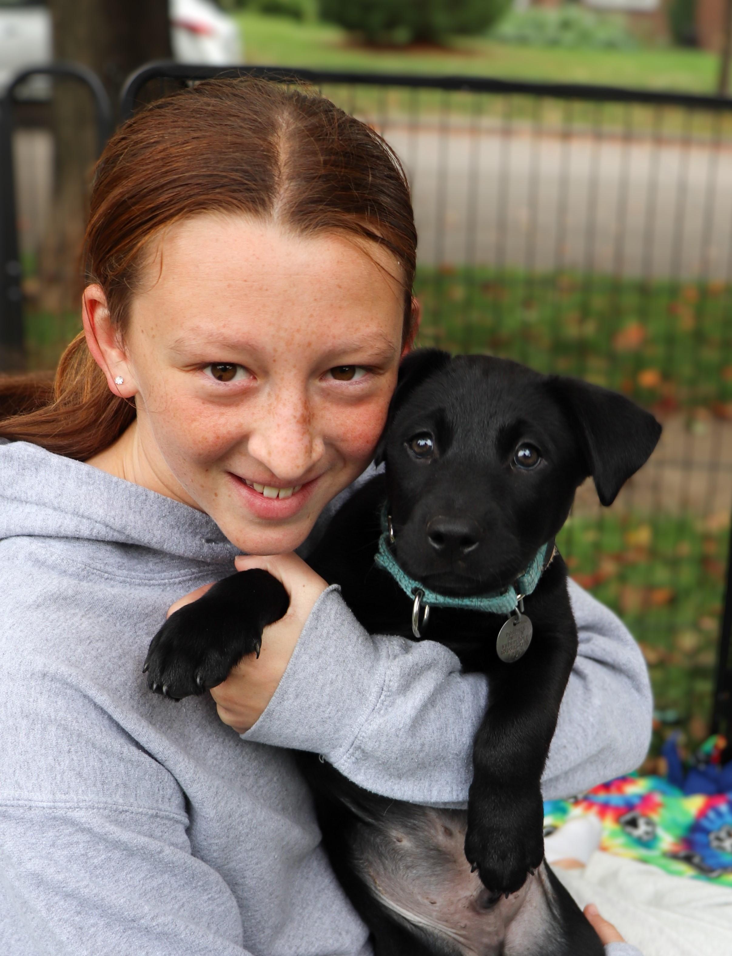 Enlarge Carl, a Adoptable mixed breed in Saint Paul, MN image 2/6