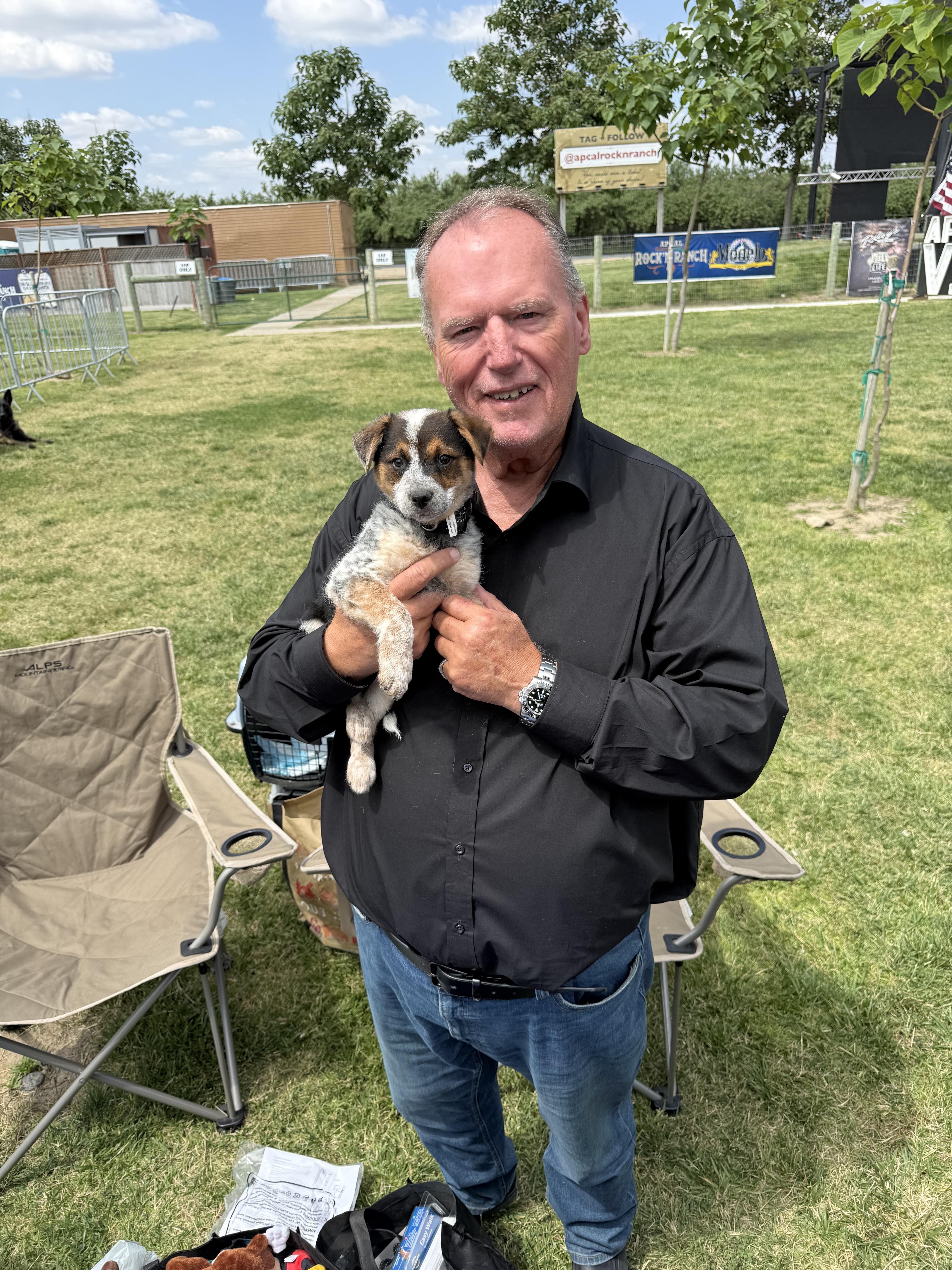 Enlarge Rocky, an adopted mixed breed in Fresno, CA image 1/1