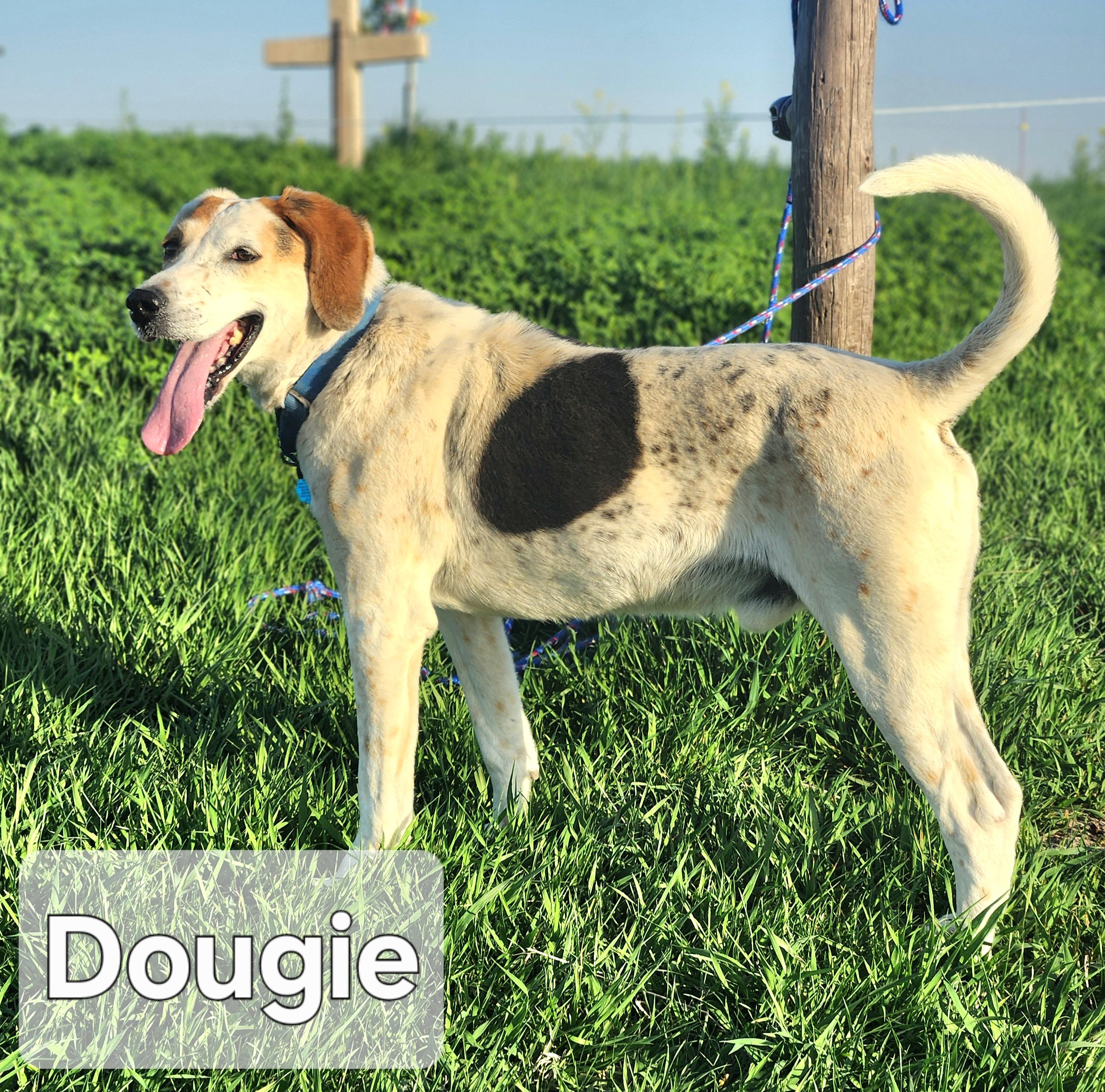Dougie photo 2