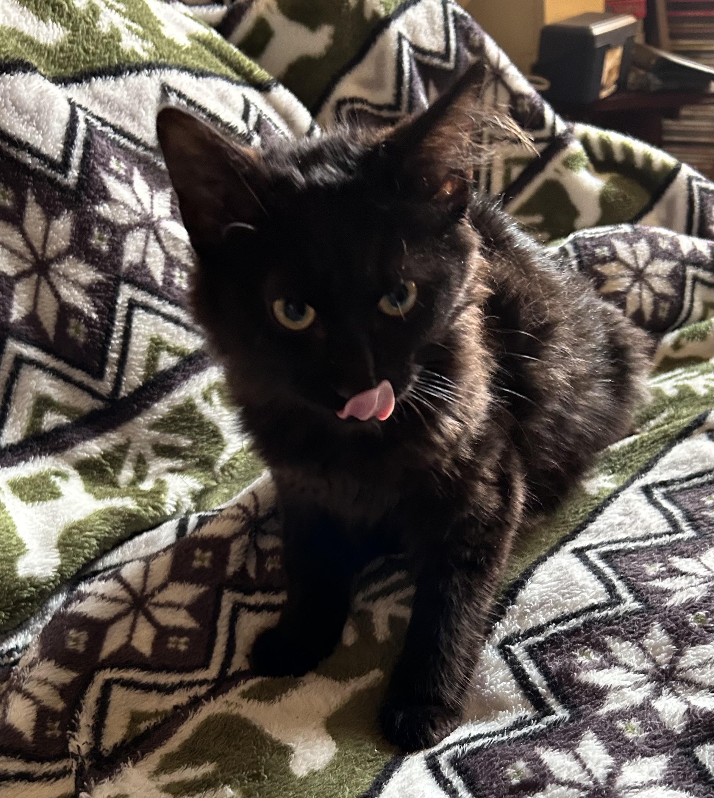 Catrick