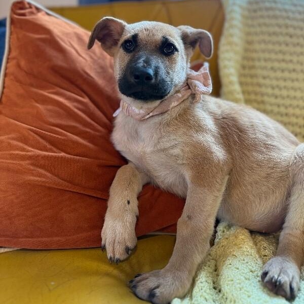 May Bandera — thumbnail 5