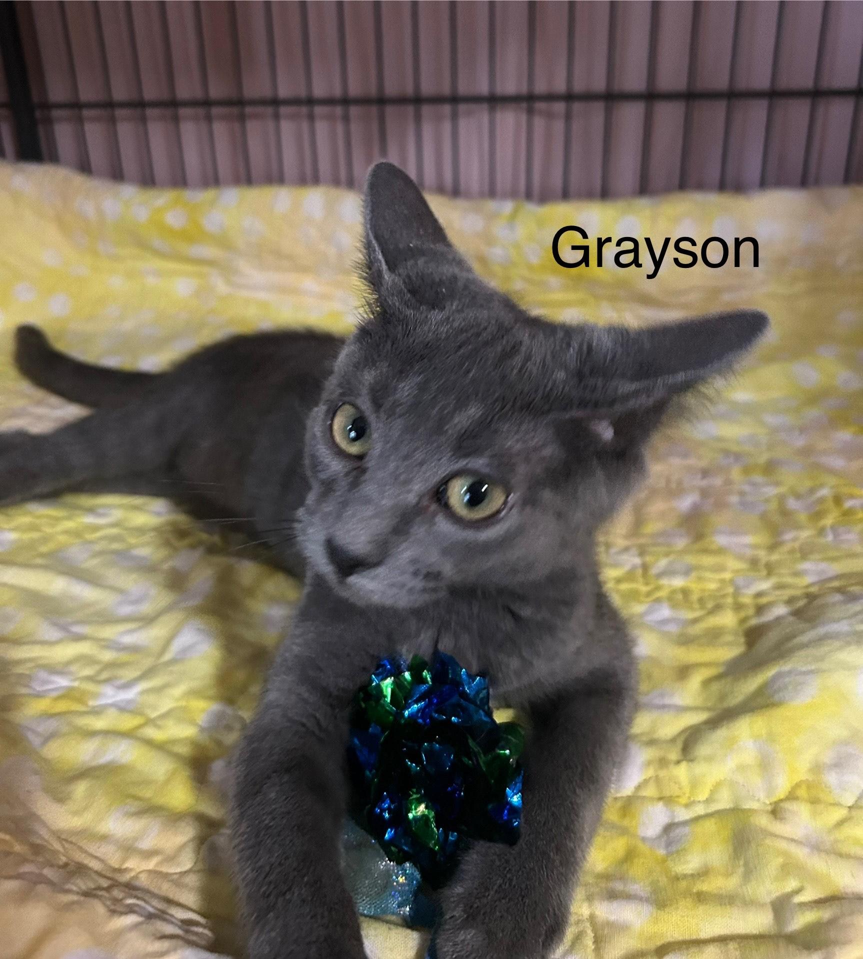 Grayson
