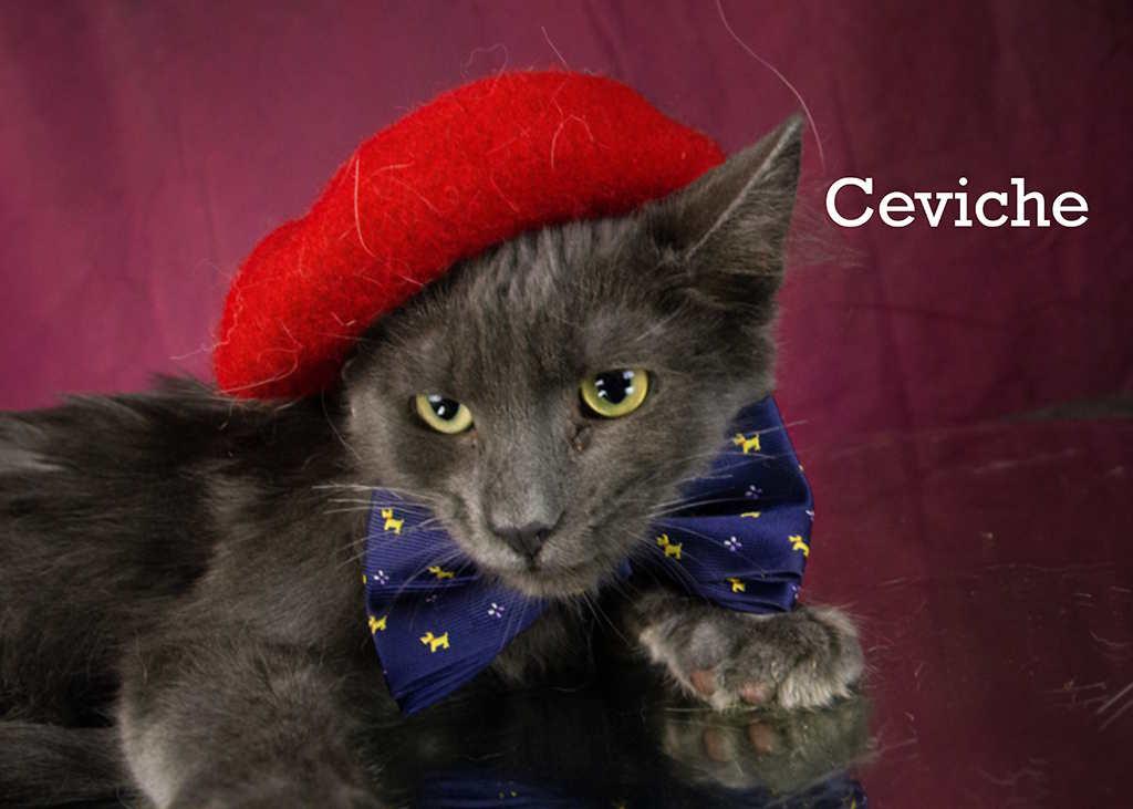 Ceviche