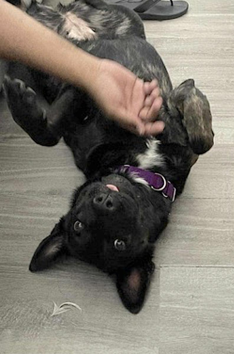 Donna — thumbnail 2