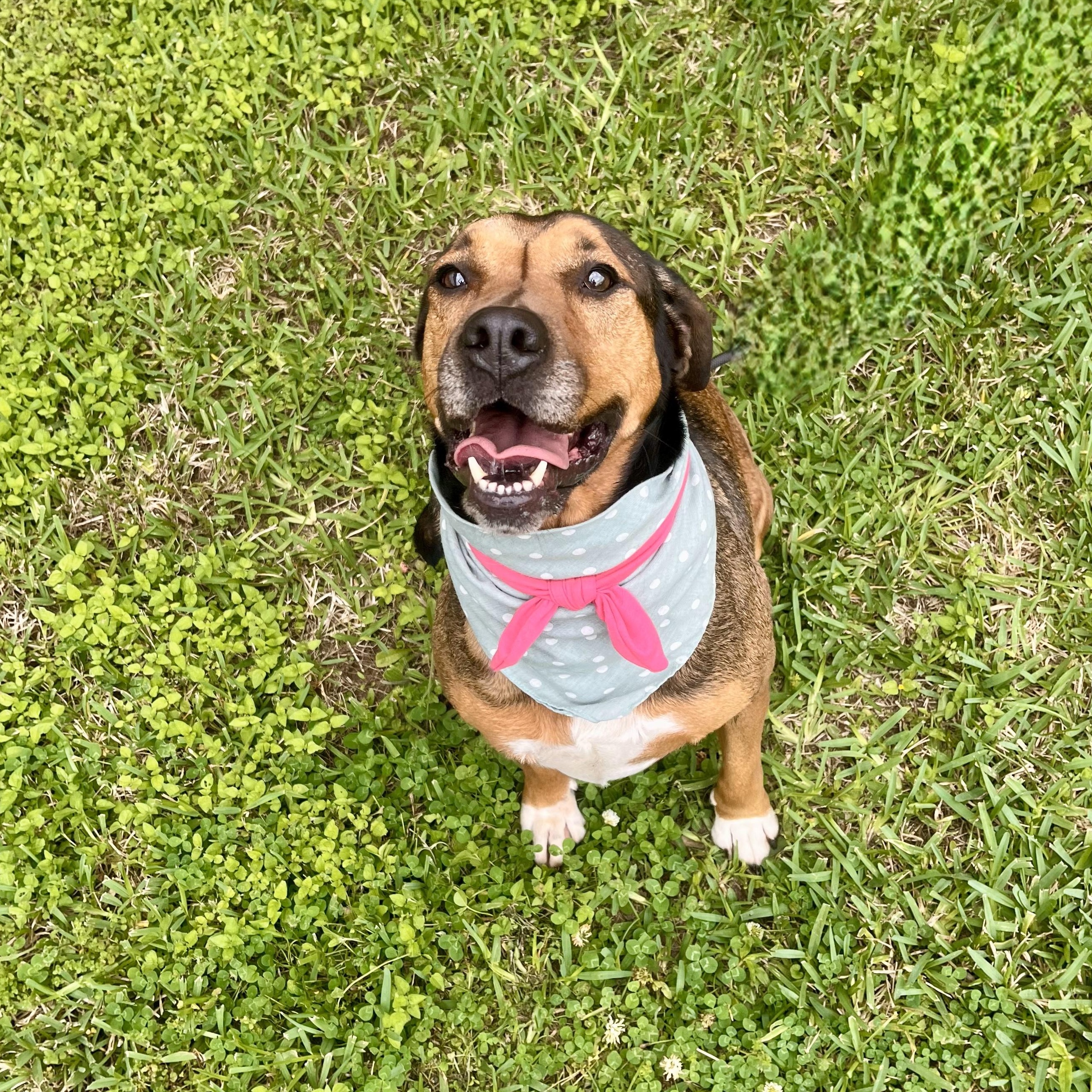 Melody Rotini — thumbnail 3