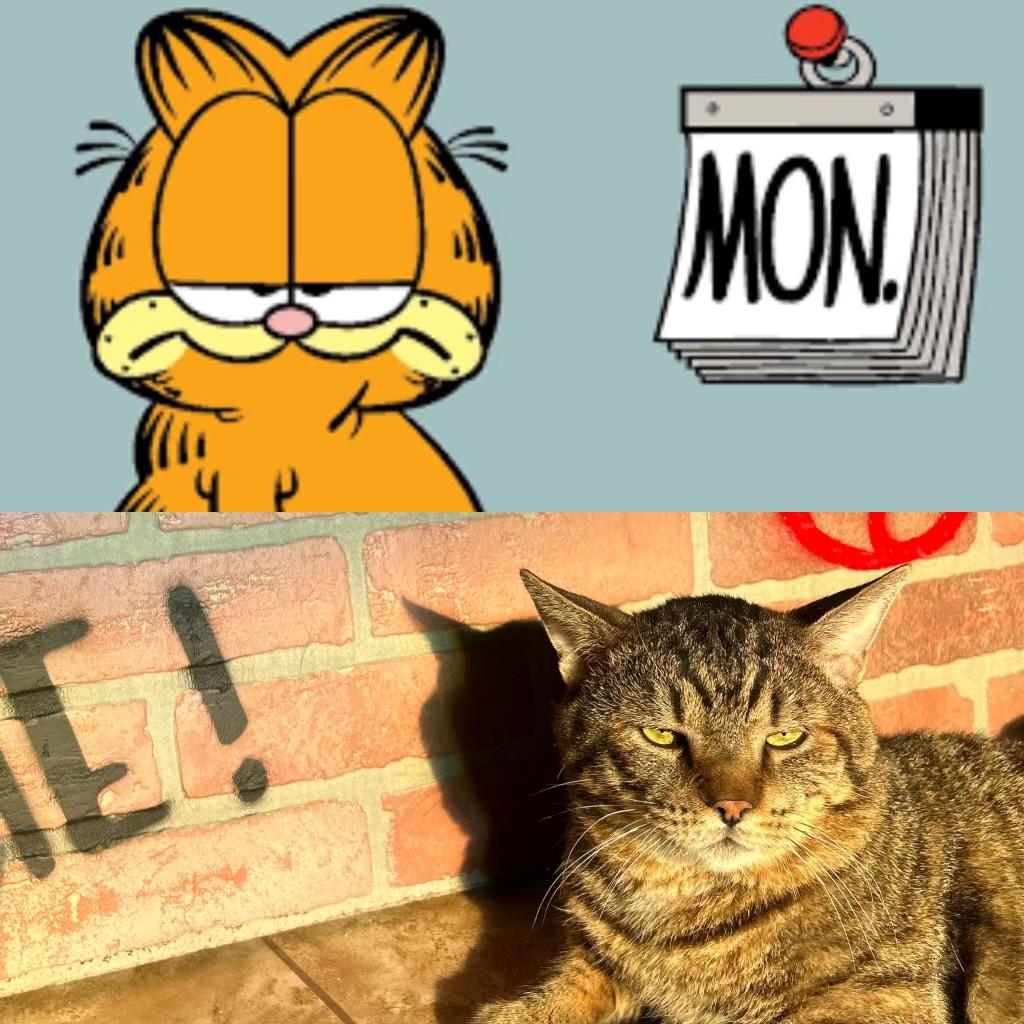Meatball