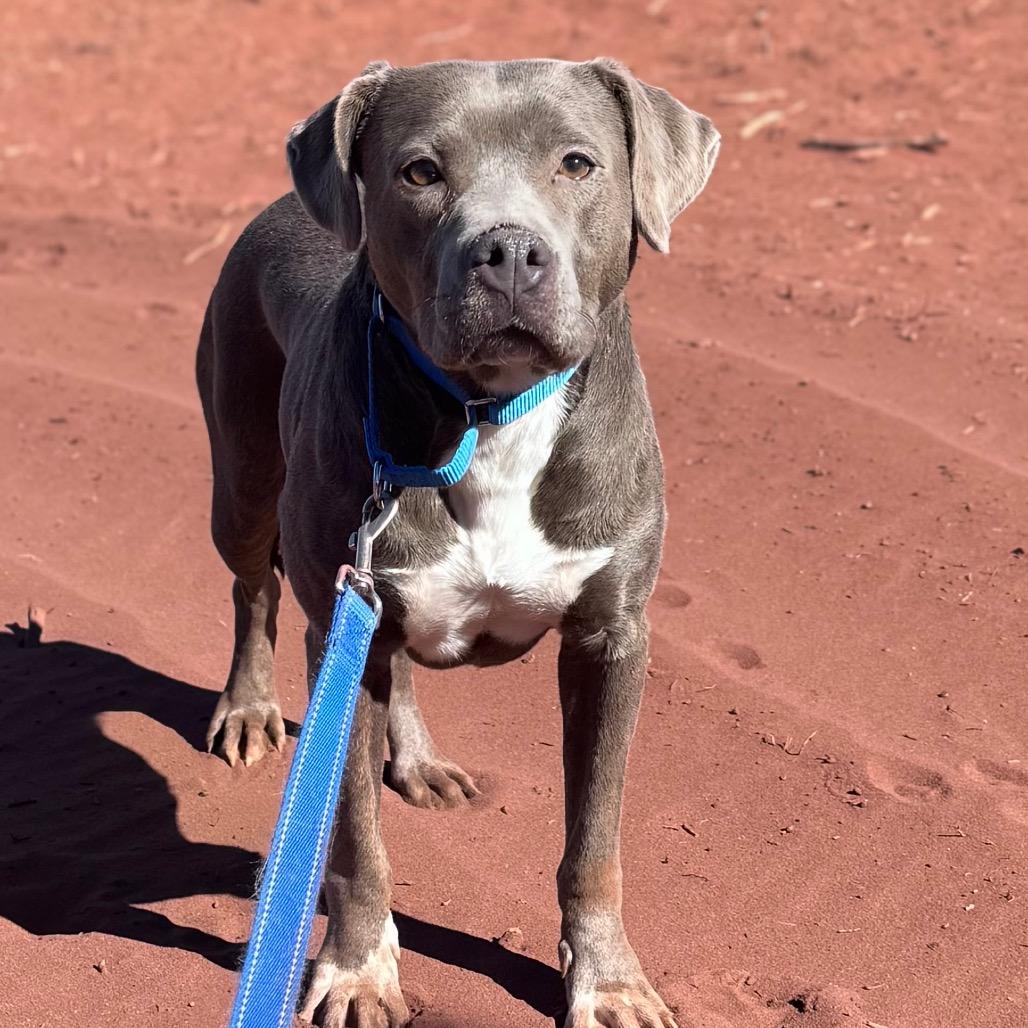 Maria — thumbnail 2