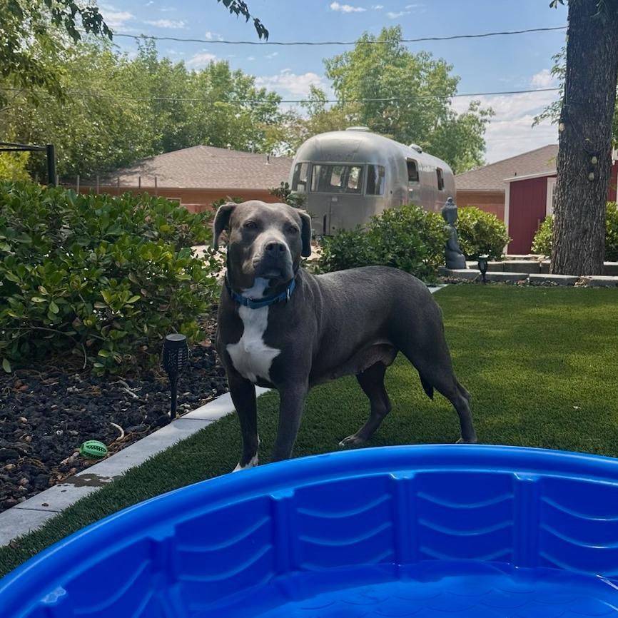 Maria — thumbnail 4