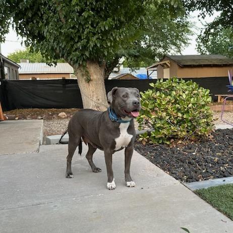 Maria — thumbnail 5