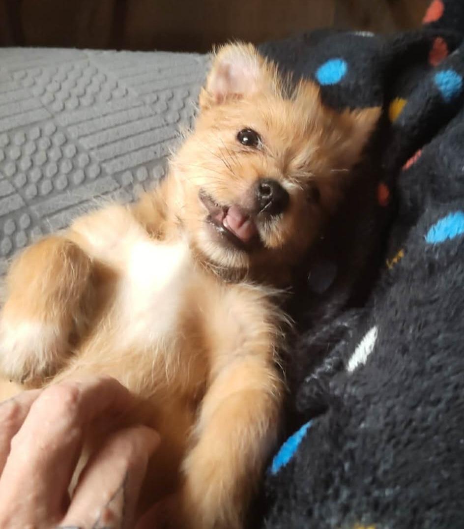 Theodore thumbnail 3