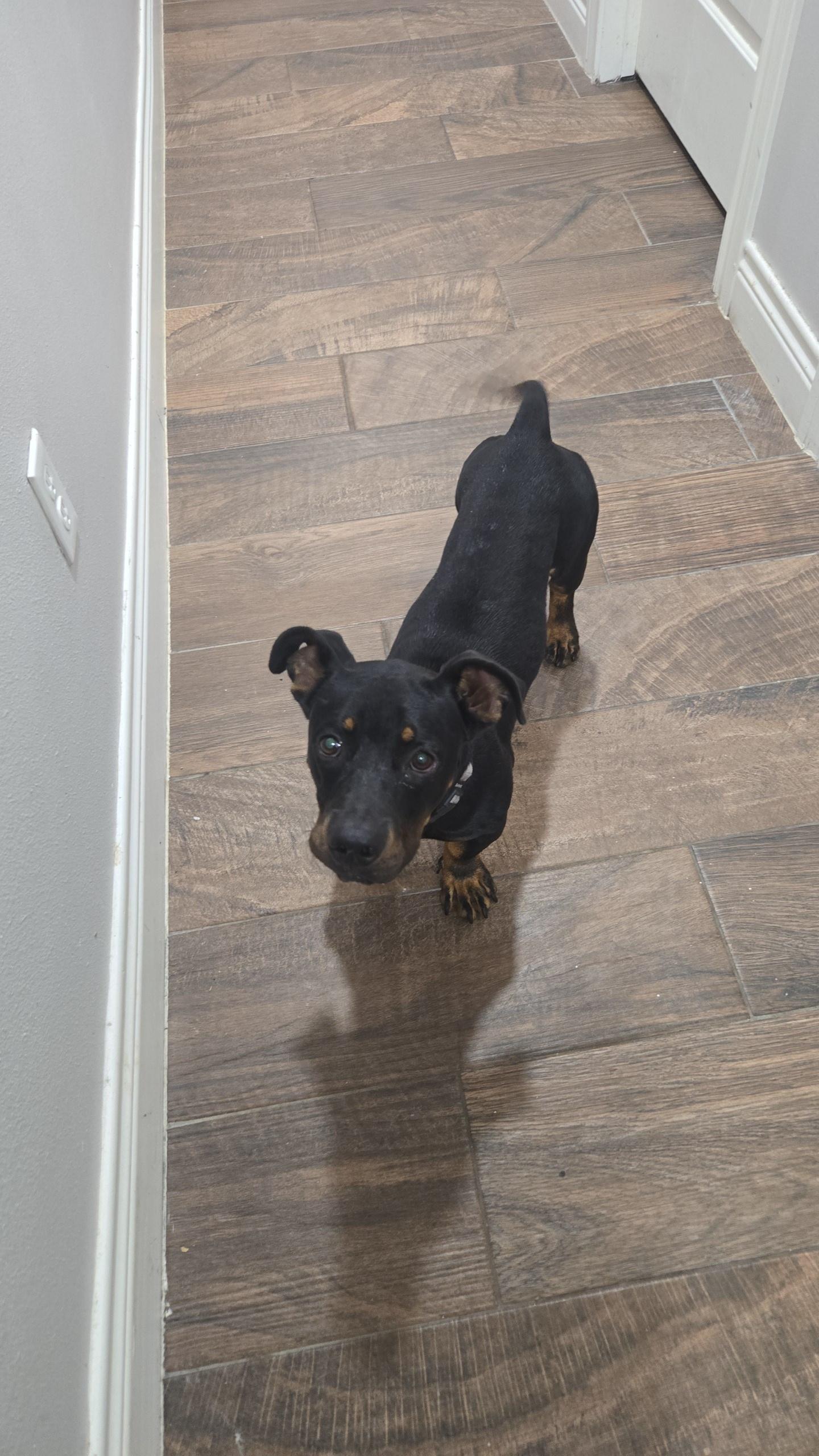 AXLE