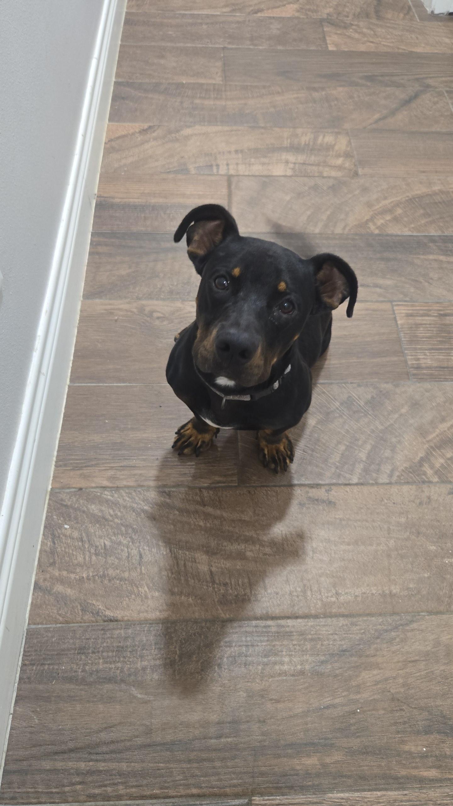 AXLE