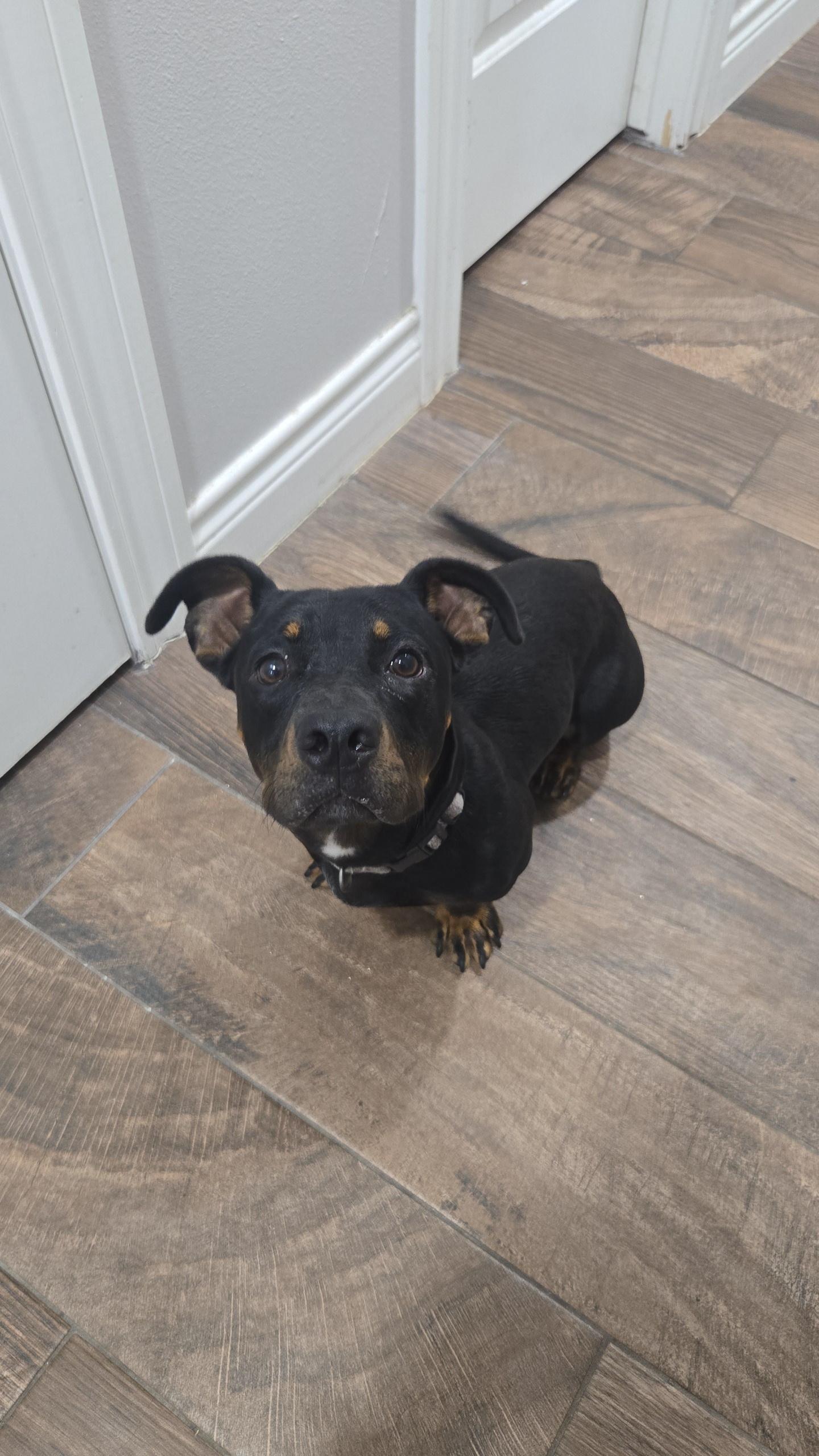 AXLE
