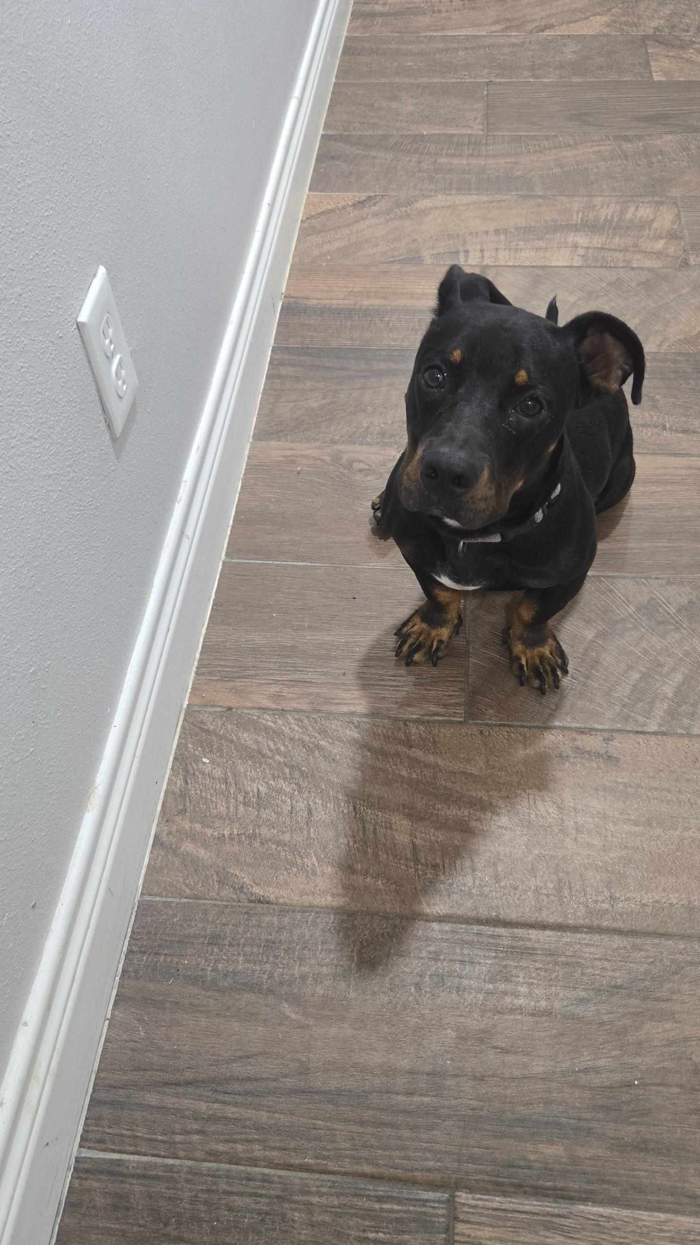 AXLE
