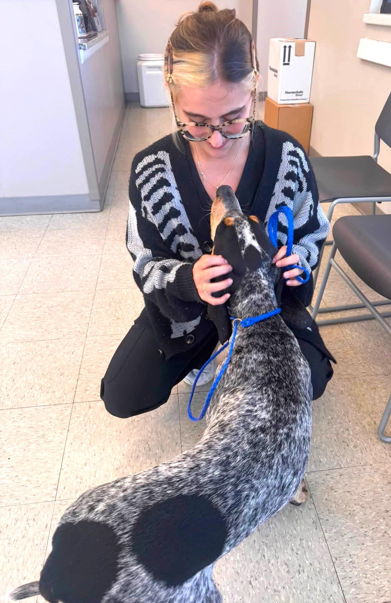Pearl (AL), an adopted Bluetick Coonhound in Mobile, AL image 3/5