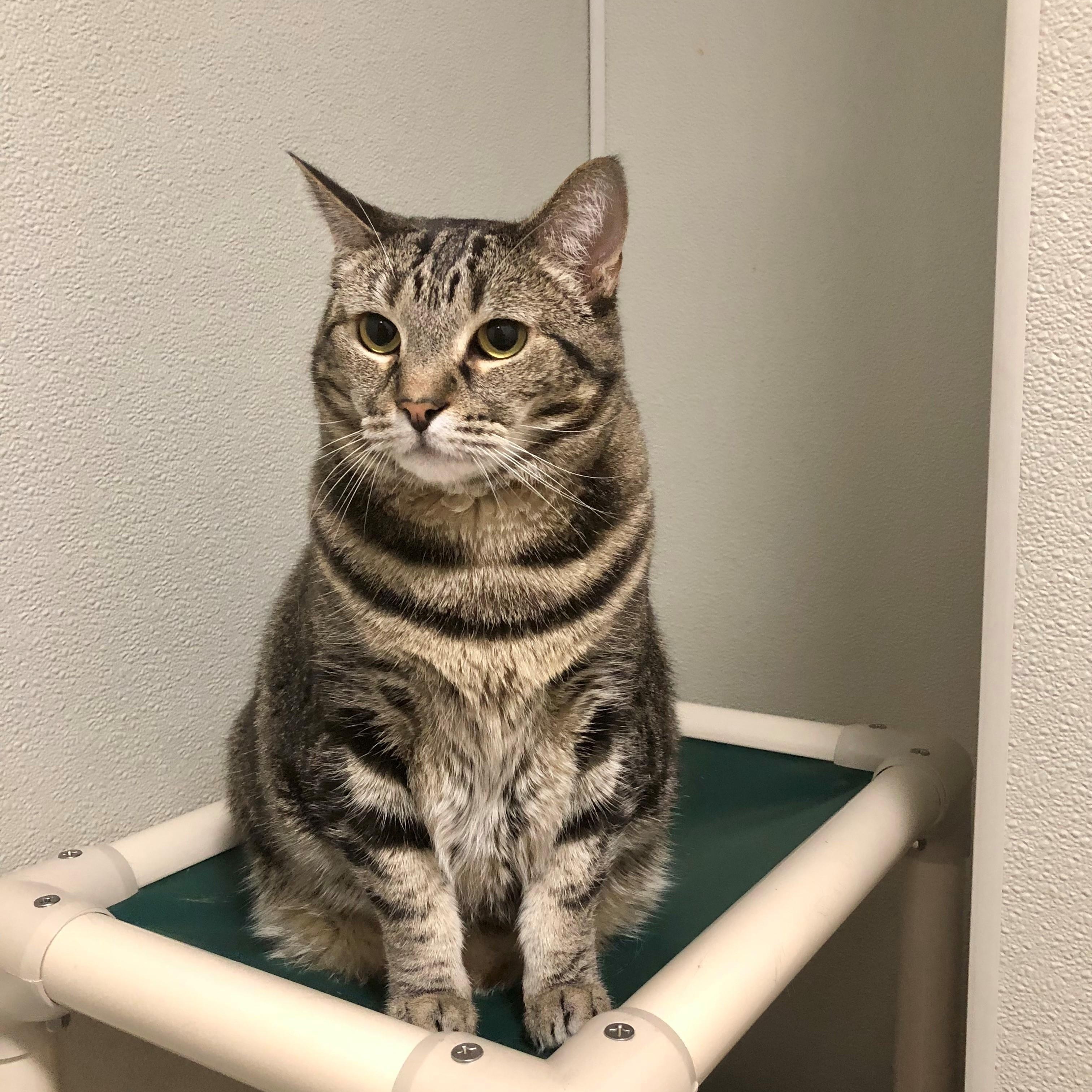 Wynona — thumbnail 2