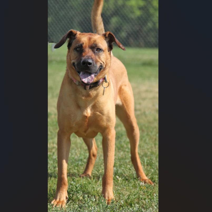 Scarlett thumbnail 2