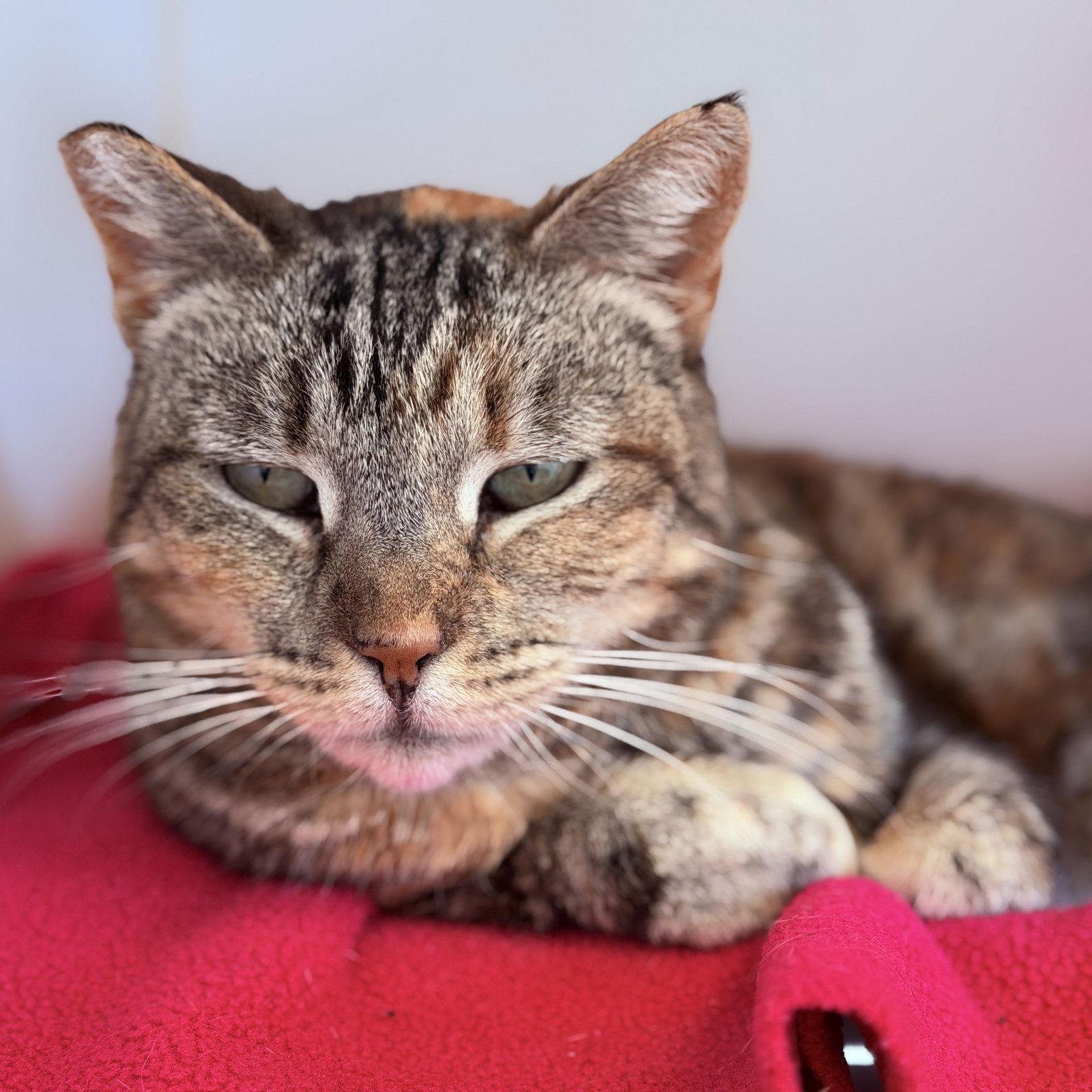 Maryanne — thumbnail 2