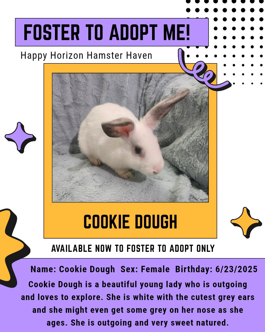 Cookie Dough