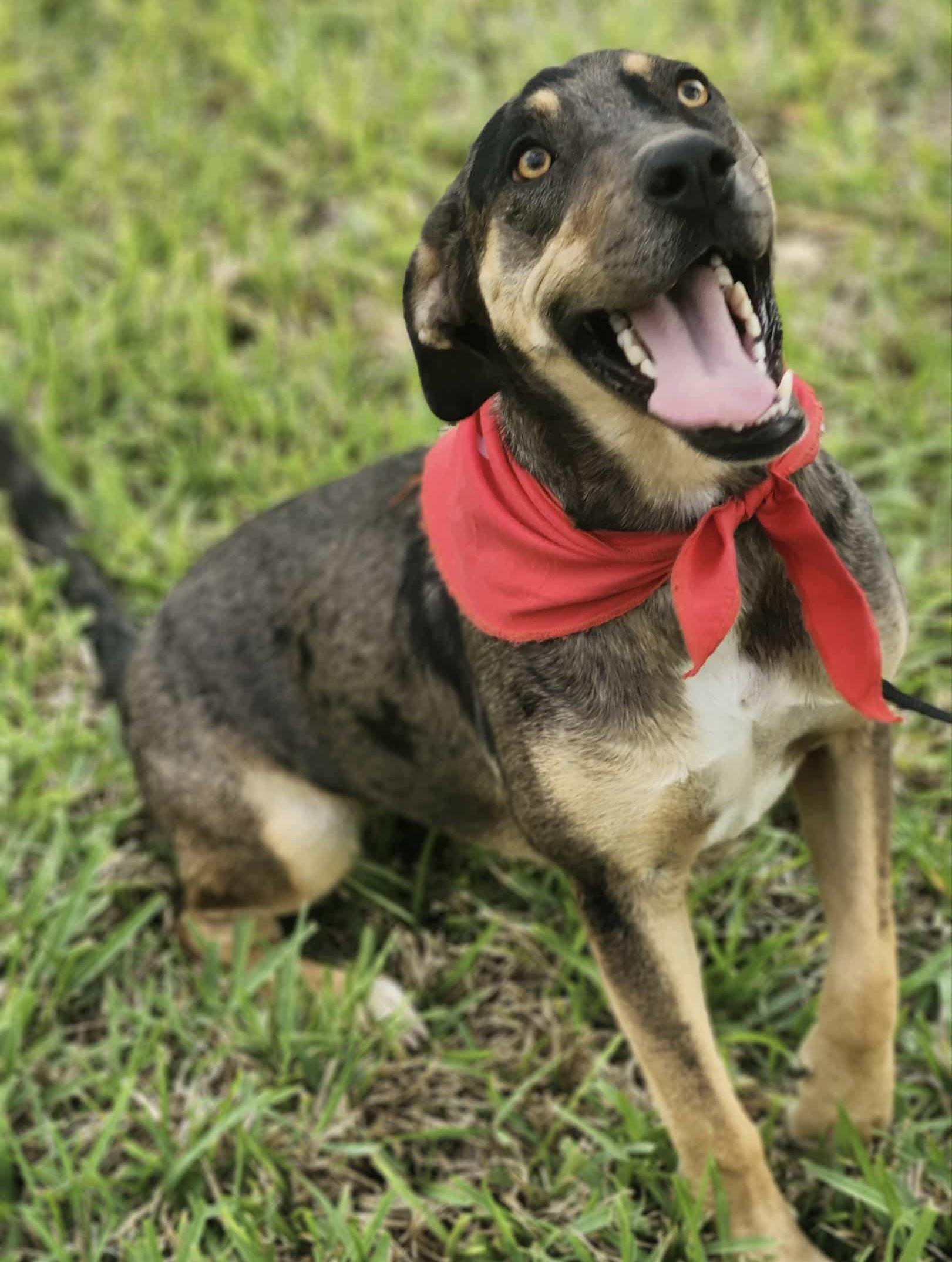 Evergreen thumbnail 4