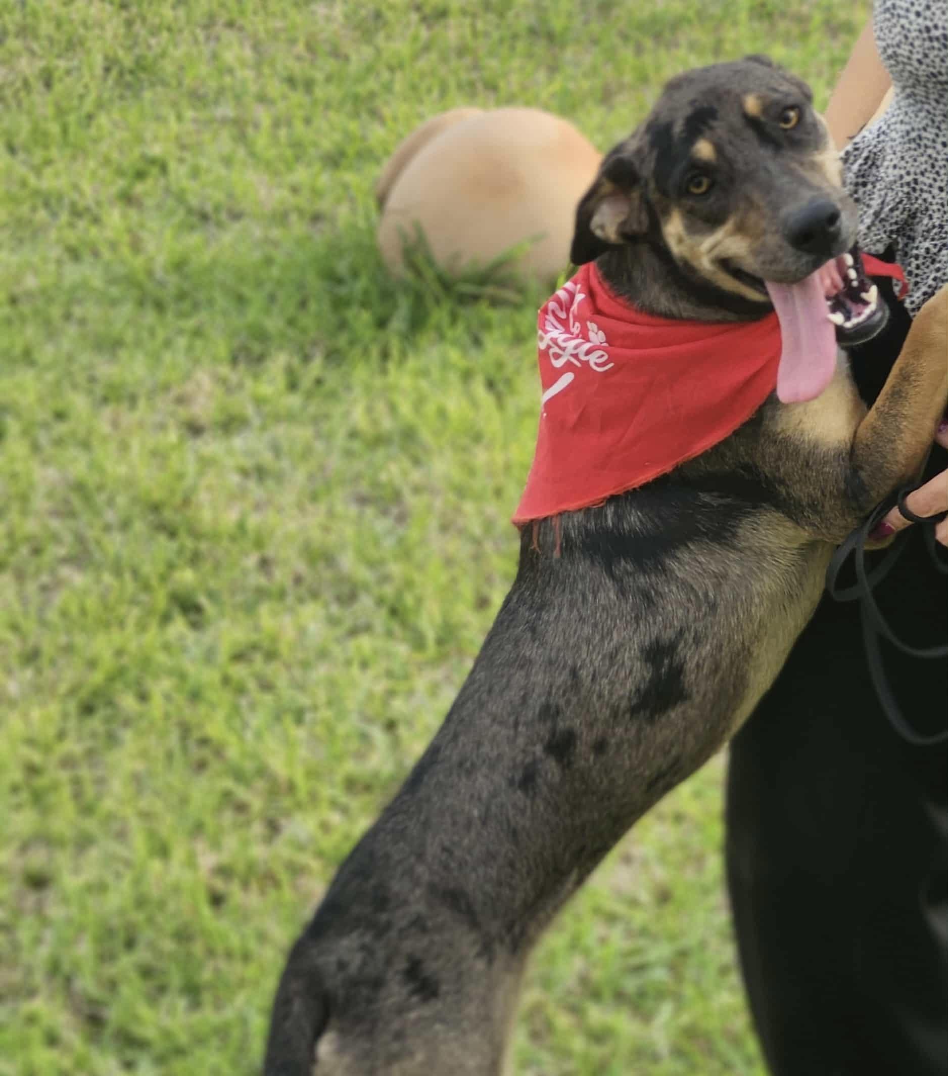 Evergreen thumbnail 5