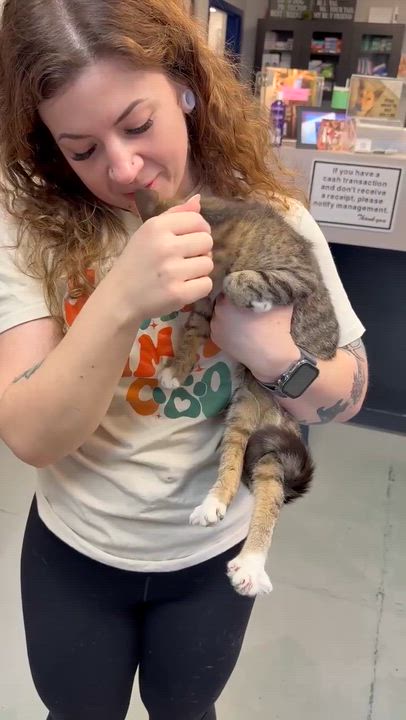 Enlarge Expresso is the pick me up to make u smile ALWAYS!!  Video!!!, a Adoptable mixed breed in Bedford Hills, NY video 4/6