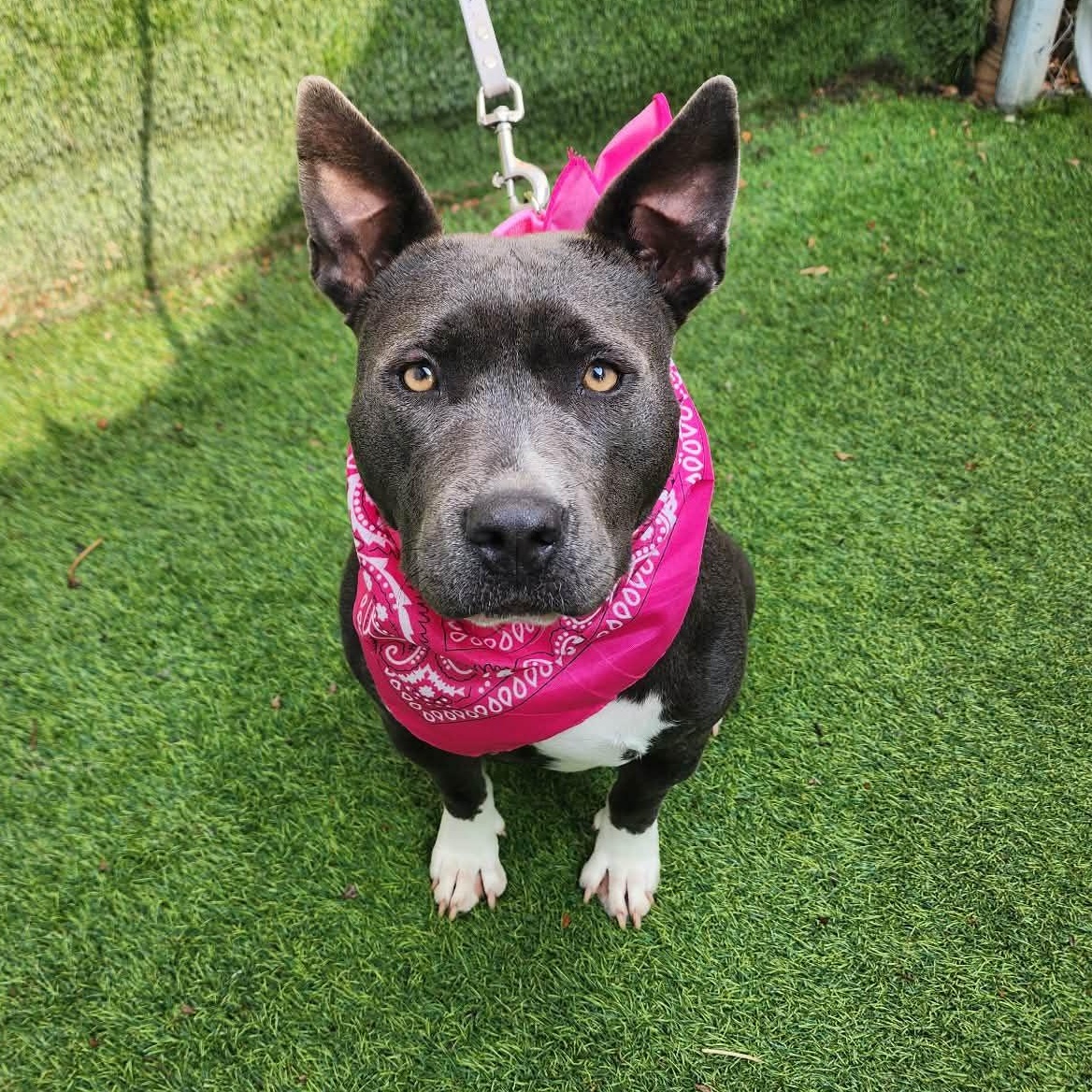 Lucy — thumbnail 2