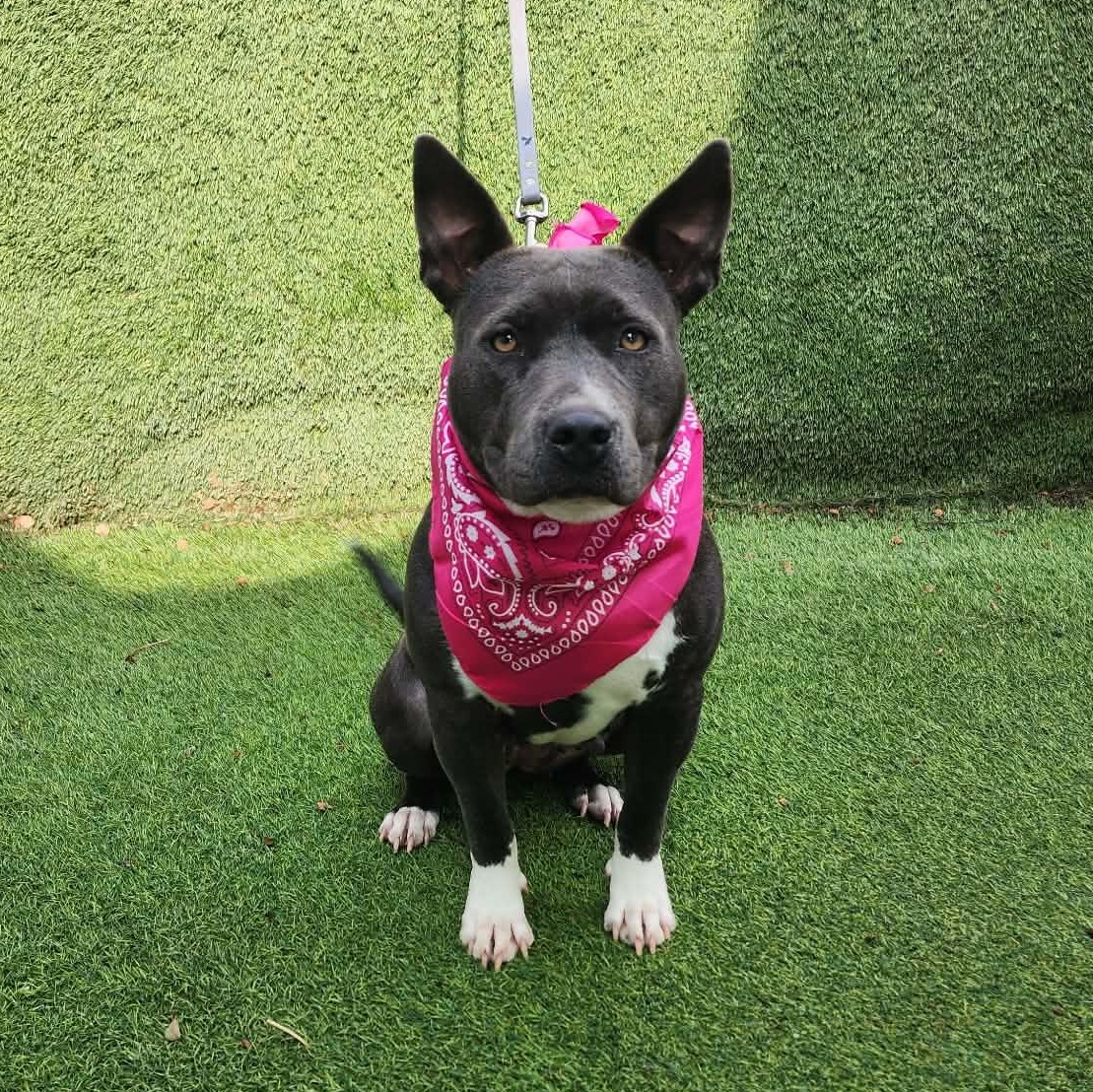 Lucy — thumbnail 3