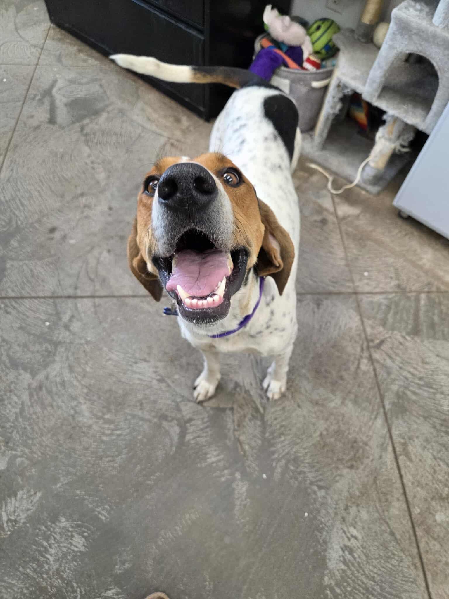 Lucy